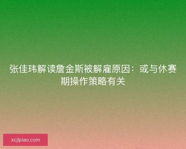 张佳玮解读詹金斯被解雇原因：或与休赛期操作策略有关