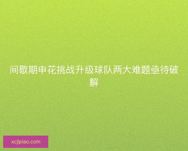 间歇期申花挑战升级球队两大难题亟待破解