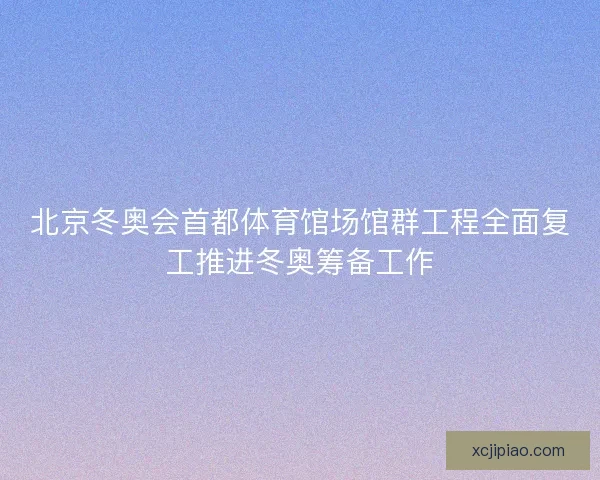北京冬奥会首都体育馆场馆群工程全面复工推进冬奥筹备工作